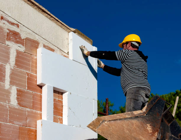 Best Wall Insulation Contractor  in Euless, TX