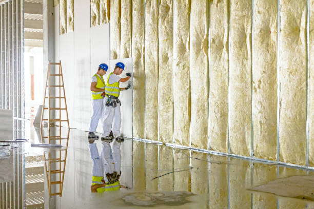 Best Insulation for New Construction  in Euless, TX